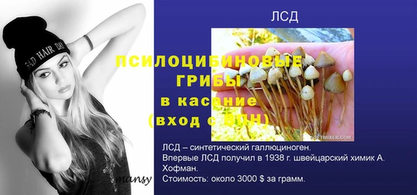 СК Абаза