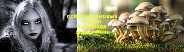 гашик Абинск