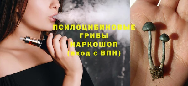 гашик Абинск