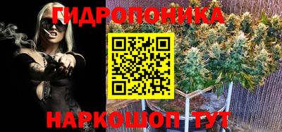 СК Краснодар