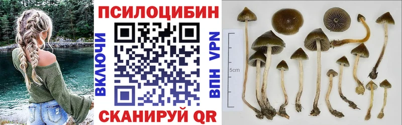 наркотики блэк спрут ТОР Галлюциногенные грибы мухоморы Дубна