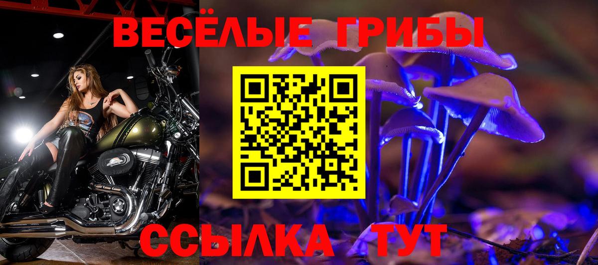 Псилоцибиновые грибы MAGIC MUSHROOMS  Вход с VPN  Псилоцибиновые грибы мухоморы  Дубна 