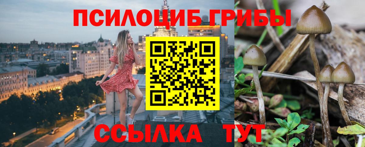 Псилоцибиновые грибы GOLDEN TEACHER Дубна